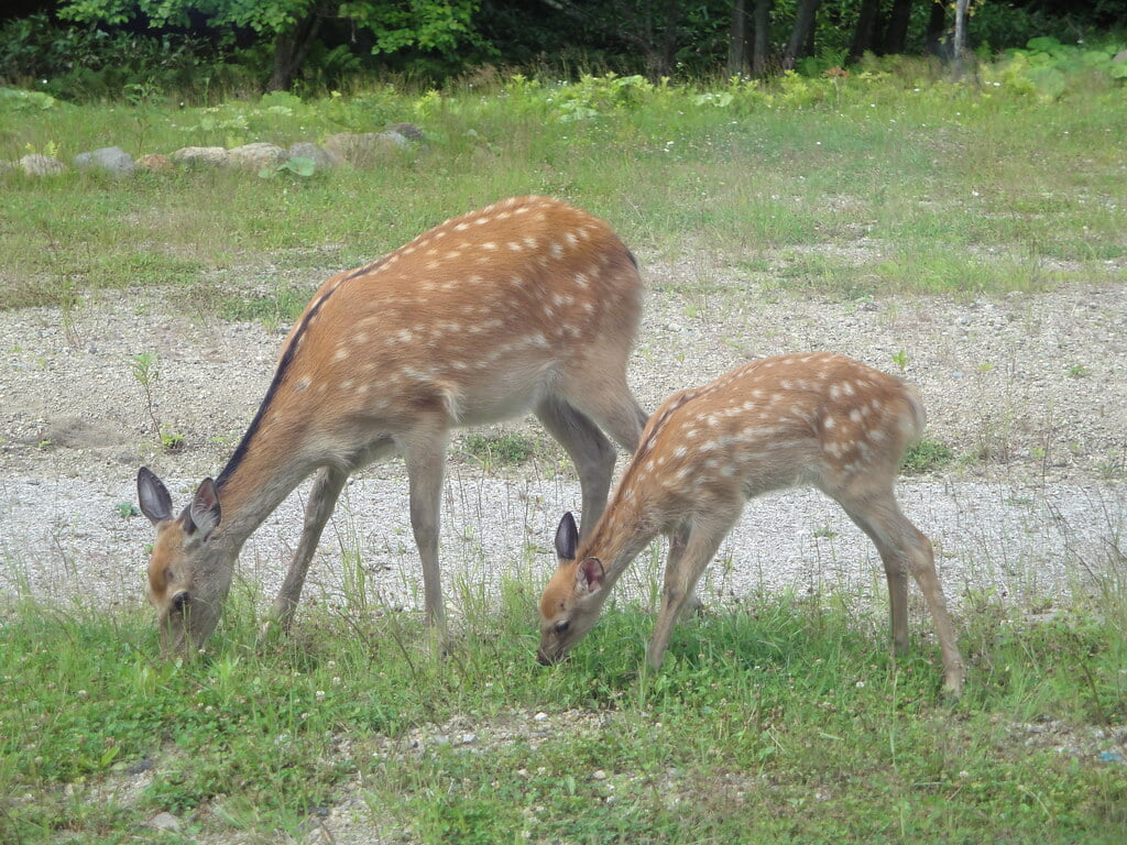 羅臼ビジターセンターの写真 ©alberth2(CC BY-SA 2.0)