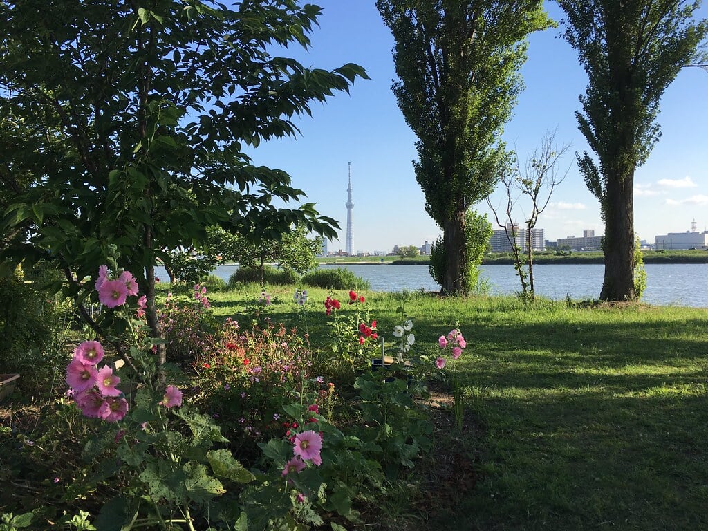 堀切水辺公園の写真 ©Mikhail Kotykhov(CC BY 2.0)