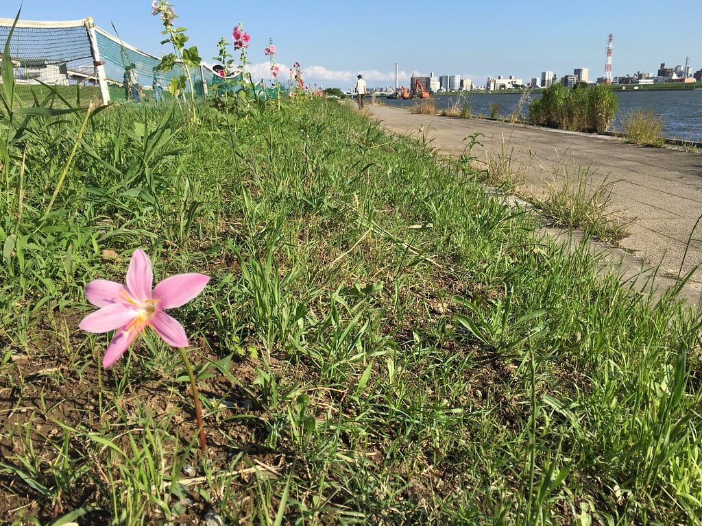 堀切水辺公園の写真 ©Mikhail Kotykhov(CC BY 2.0)