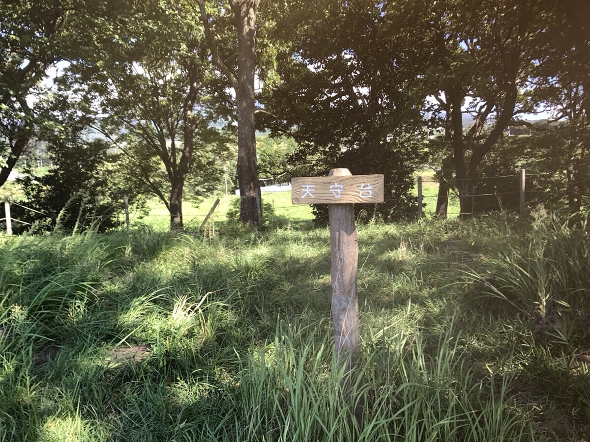 興国寺城跡の写真 ©Yaritsusozai(CC BY-SA 4.0)