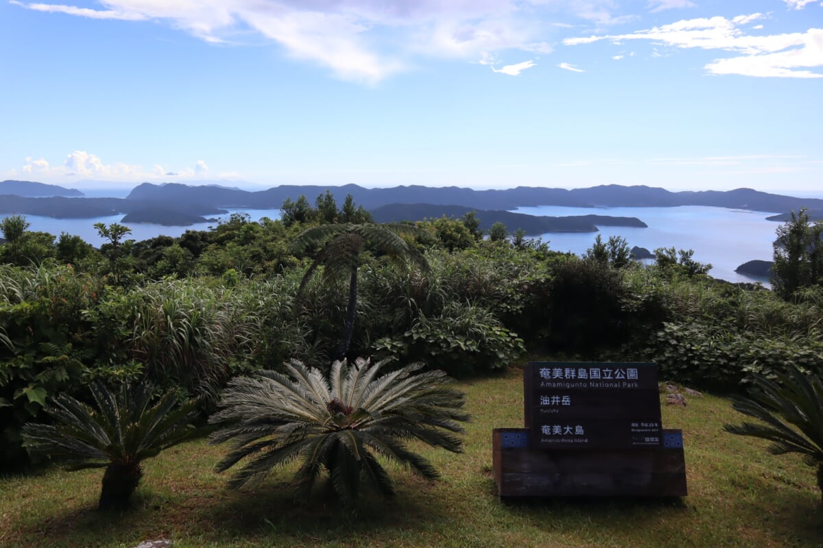 油井岳展望所の写真 