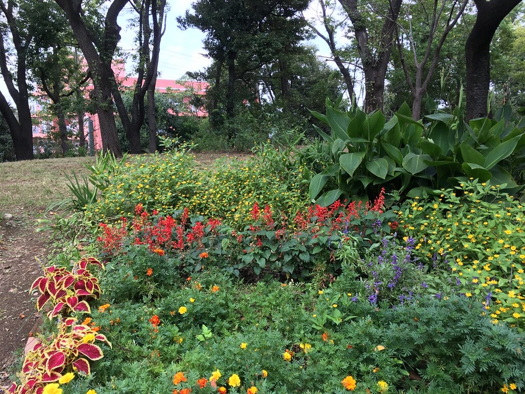 平和の森公園の写真 ©Mikhail Kotykhov(CC BY 2.0)