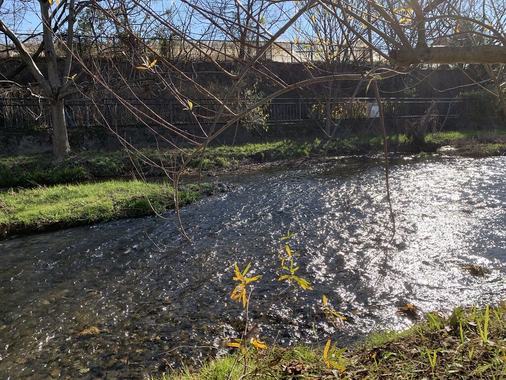 落合川いこいの水辺の写真 ©Mikhail Kotykhov(CC BY 2.0)