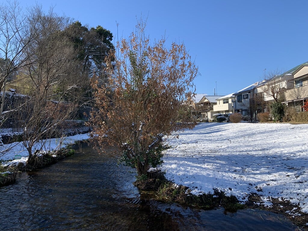 落合川いこいの水辺の写真 ©Mikhail Kotykhov(CC BY 2.0)