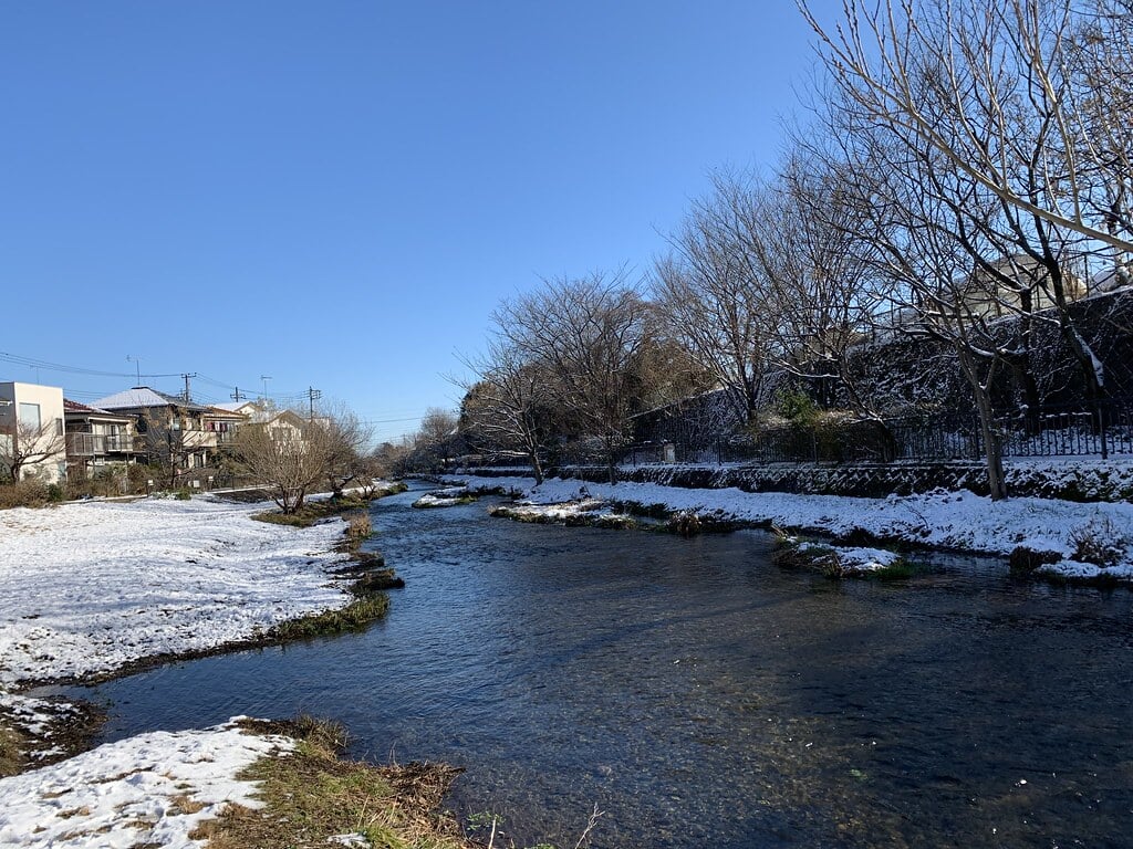 落合川いこいの水辺の写真 ©Mikhail Kotykhov(CC BY 2.0)