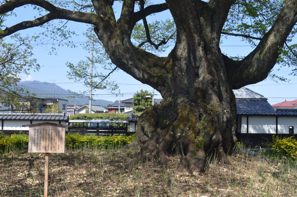 飯田市美術博物館の写真 ©Asturio(CC BY-SA 4.0)