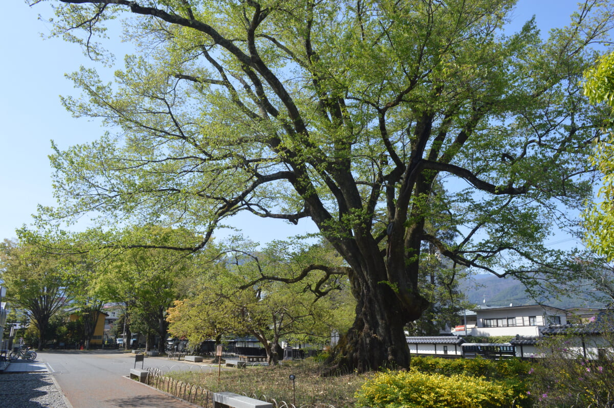 飯田市美術博物館の写真 ©Asturio(CC BY-SA 4.0)