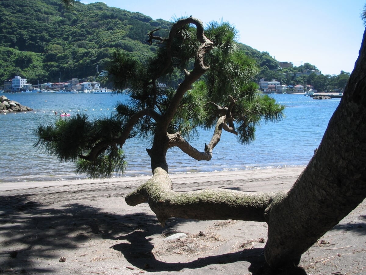 御浜海水浴場の写真 