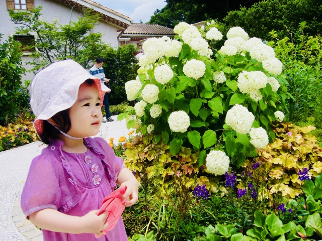 星の王子さまミュージアム 箱根サン=テグジュペリの写真 