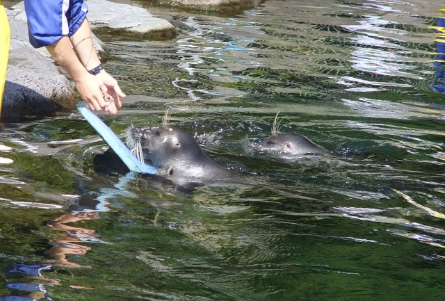 箱根園水族館の写真 