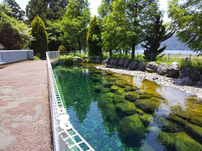 箱根園水族館の写真 