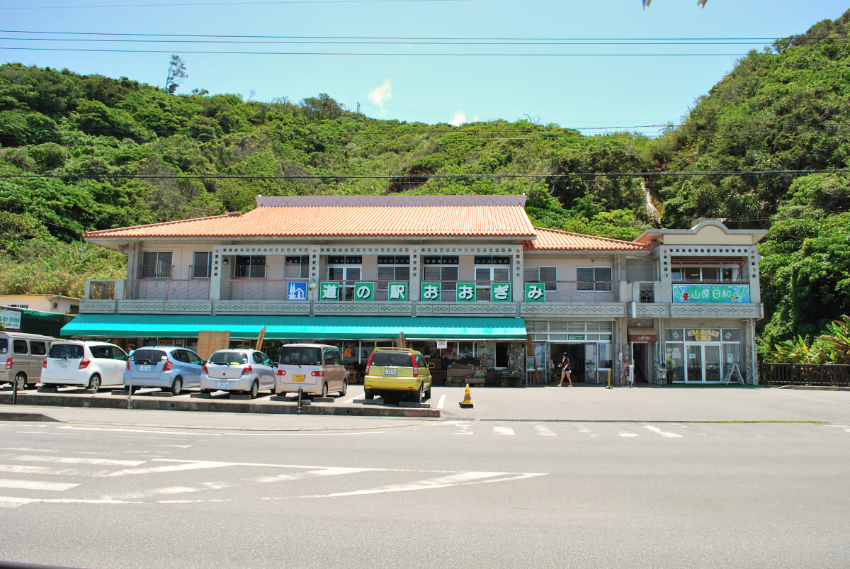 道の駅おおぎみ やんばるの森ビジターセンターの写真 ©kamiosaki(CC BY-SA 3.0)