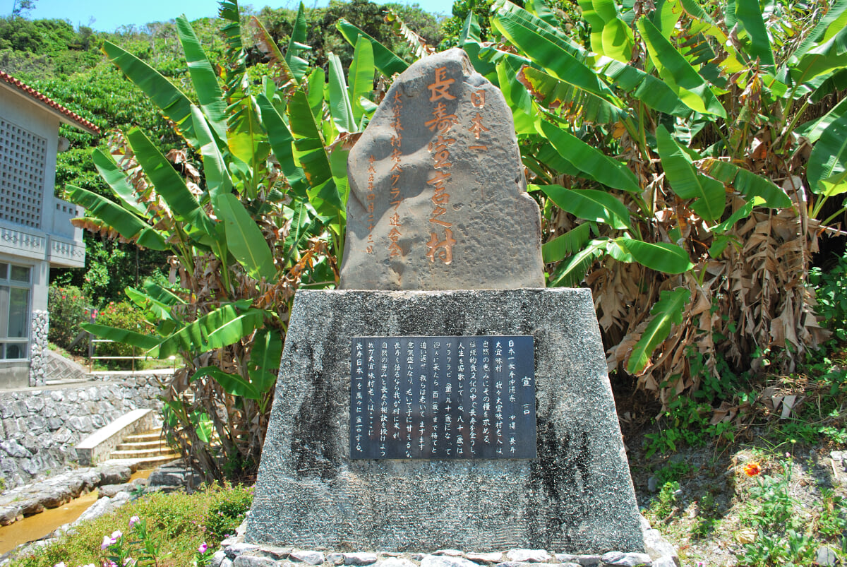 道の駅おおぎみ やんばるの森ビジターセンターの写真 ©kamiosaki(CC BY-SA 3.0)