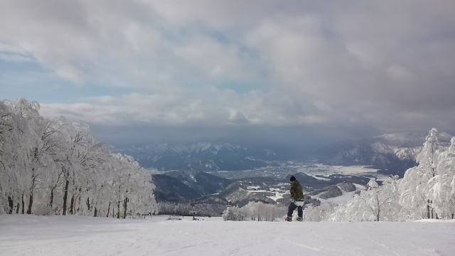 スキージャム勝山の写真 