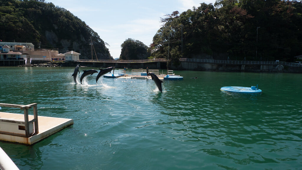 下田海中水族館の写真 ©Mayuki(CC BY 2.0)