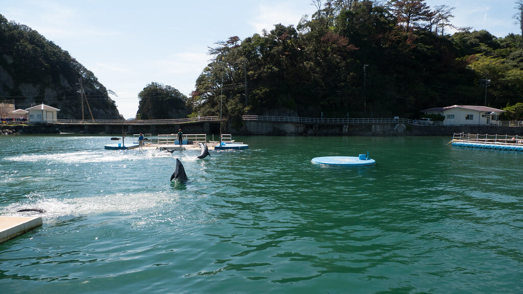 下田海中水族館の写真 ©Mayuki(CC BY 2.0)