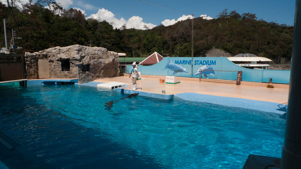 下田海中水族館の写真 ©Mayuki(CC BY 2.0)