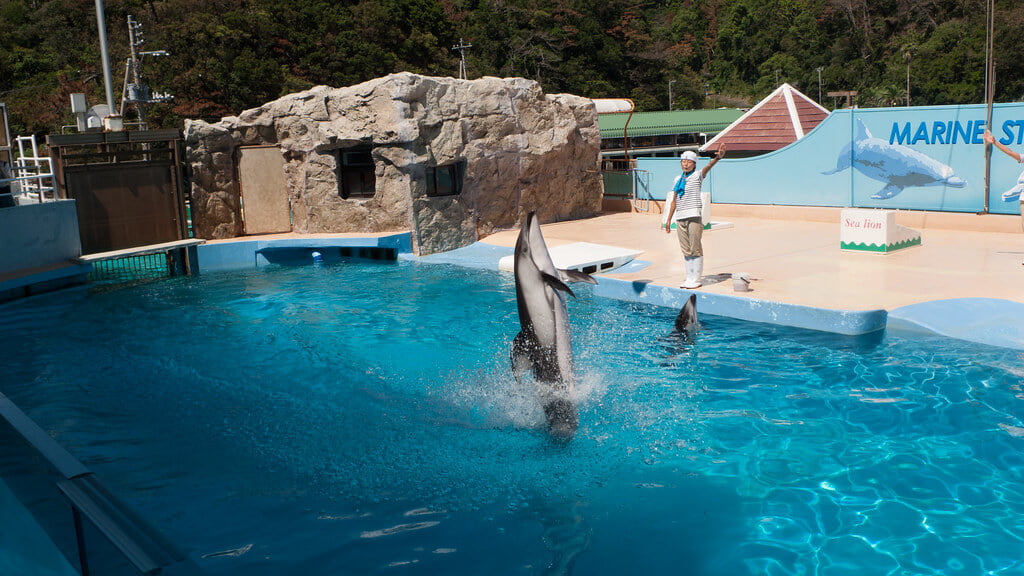 下田海中水族館の写真 ©Mayuki(CC BY 2.0)