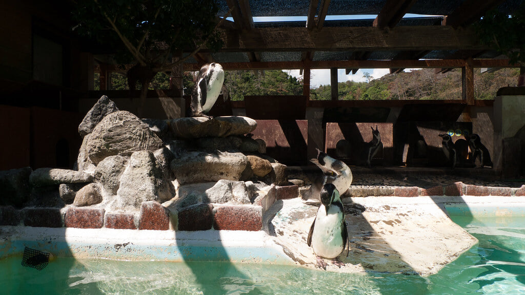 下田海中水族館の写真 ©Mayuki(CC BY 2.0)