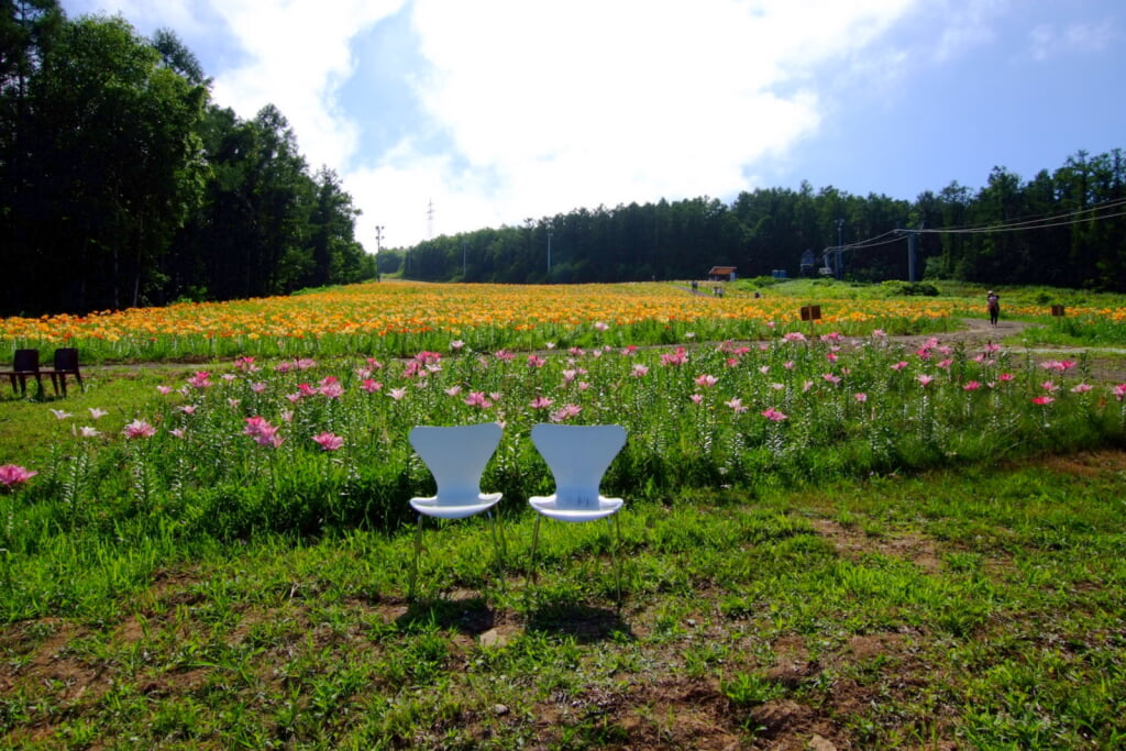 オーンズ春香山ゆり園の写真 ©t-konno(CC BY-SA 3.0)