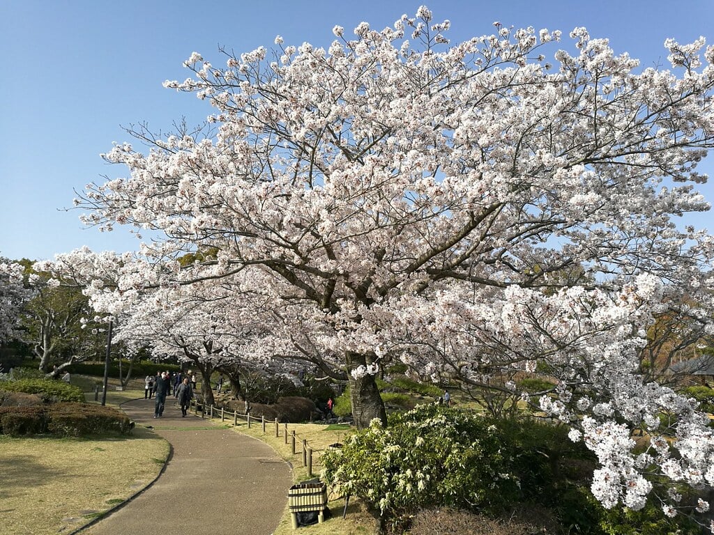 しあわせの村の写真 ©mah_japan(CC BY 2.0)