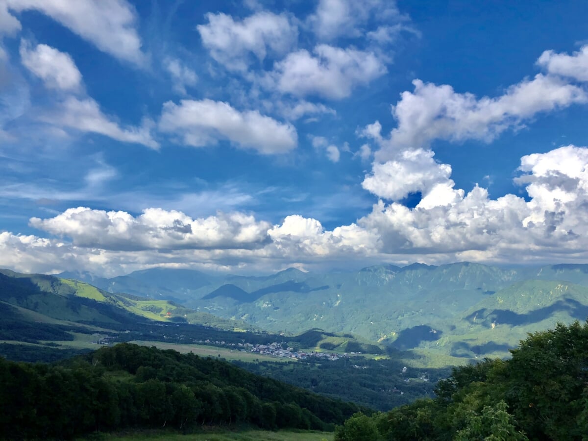 白馬岩岳マウンテン リゾートの写真 