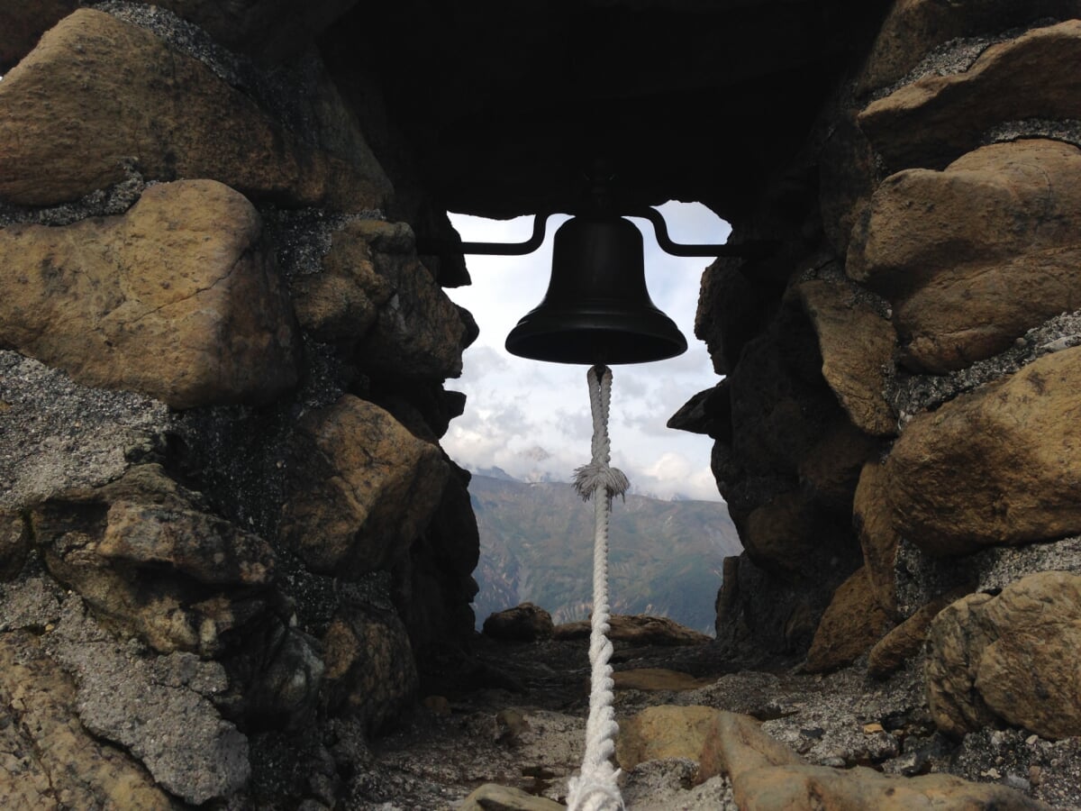 白馬五竜高山植物園の写真 