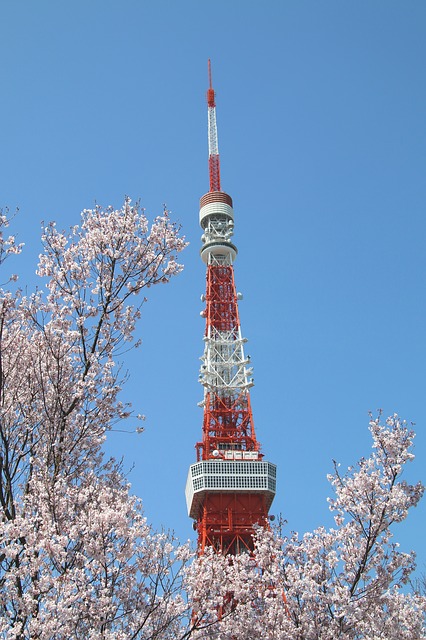 東京タワーの写真 