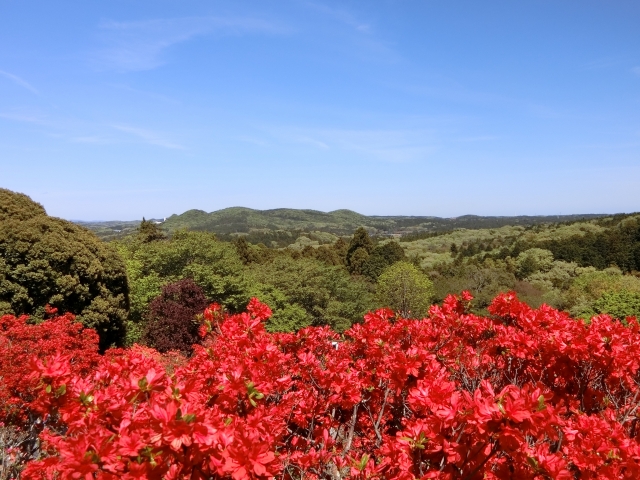 笠間つつじ公園の写真 