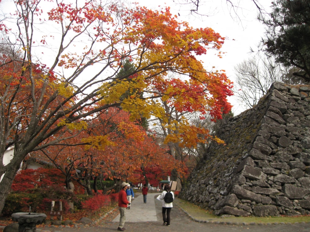 懐古園の写真 ©Koichi Shibata(CC BY-SA 3.0)