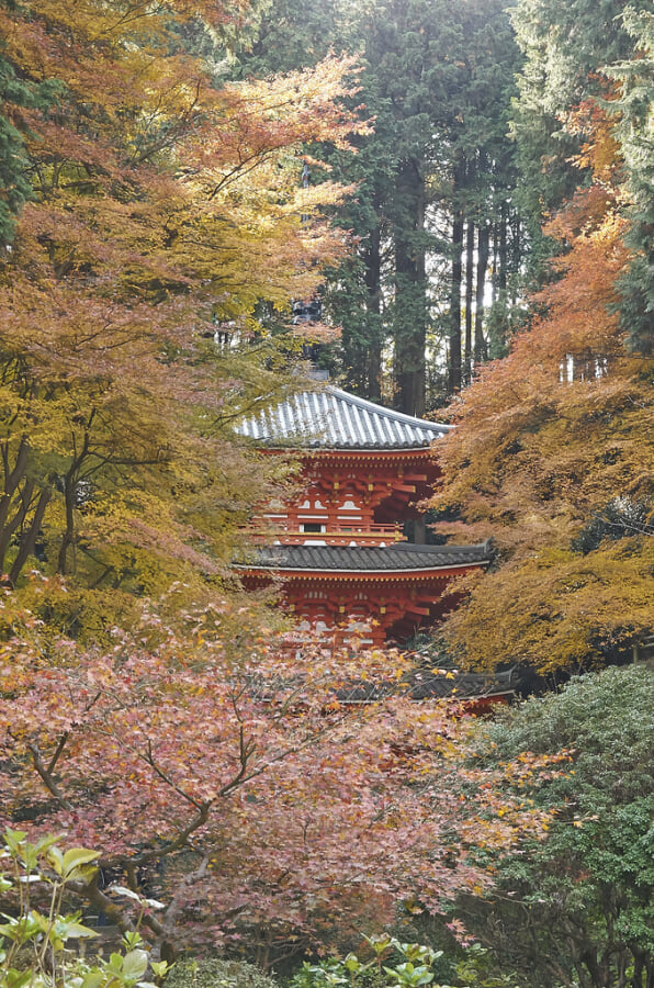 岩船寺の写真 ©Kyoto-Picture(CC BY-ND 2.0)