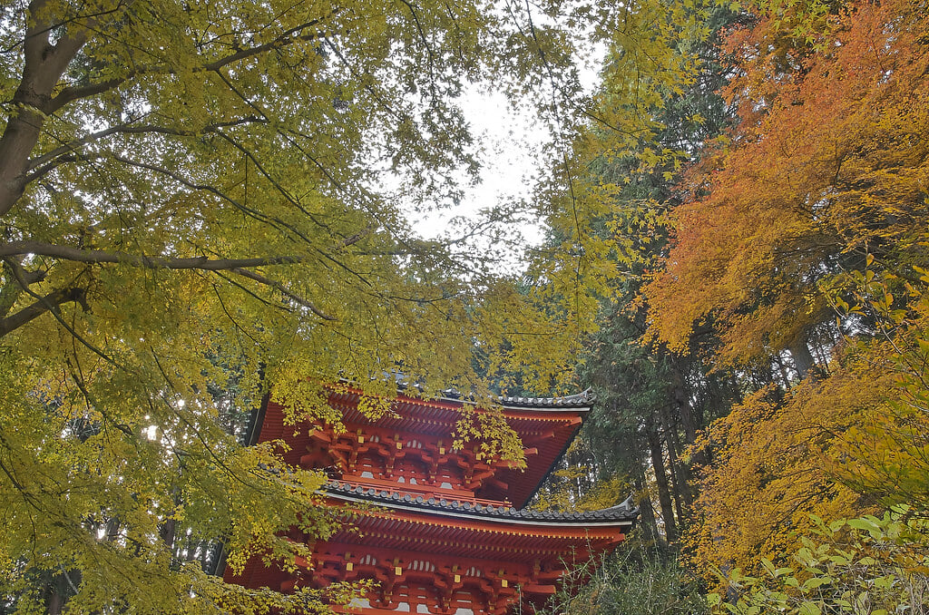 岩船寺の写真 ©Kyoto-Picture(CC BY-ND 2.0)