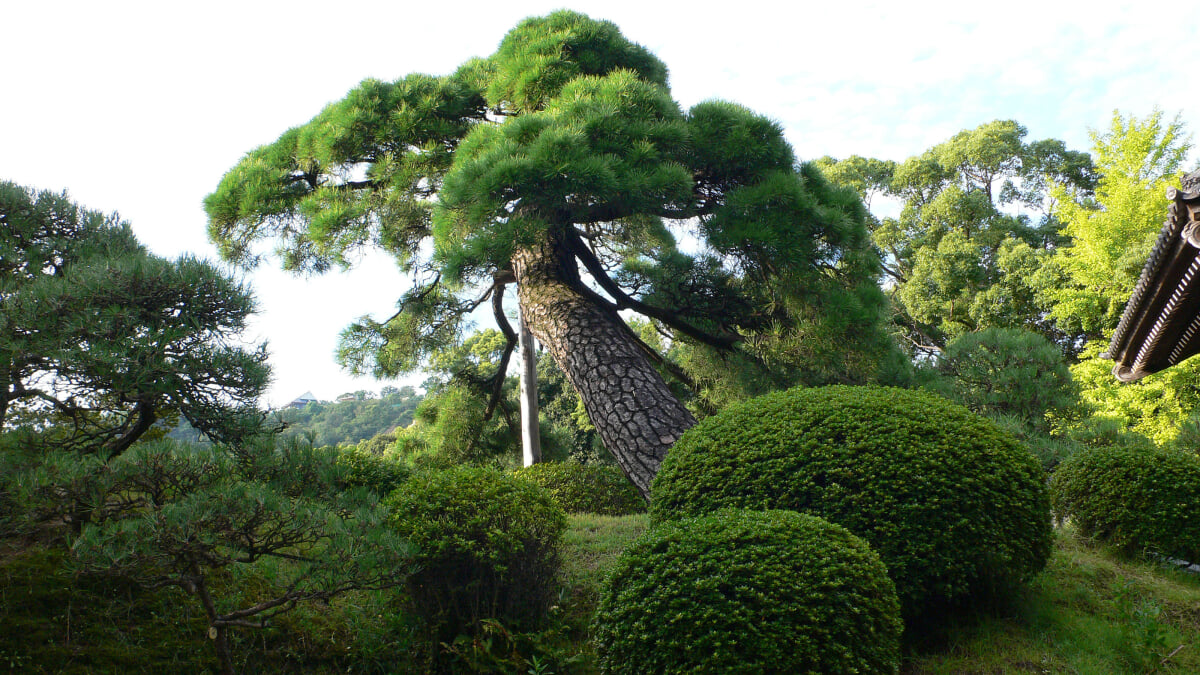 神戸市立相楽園の写真 ©663highland(CC BY-SA 3.0)