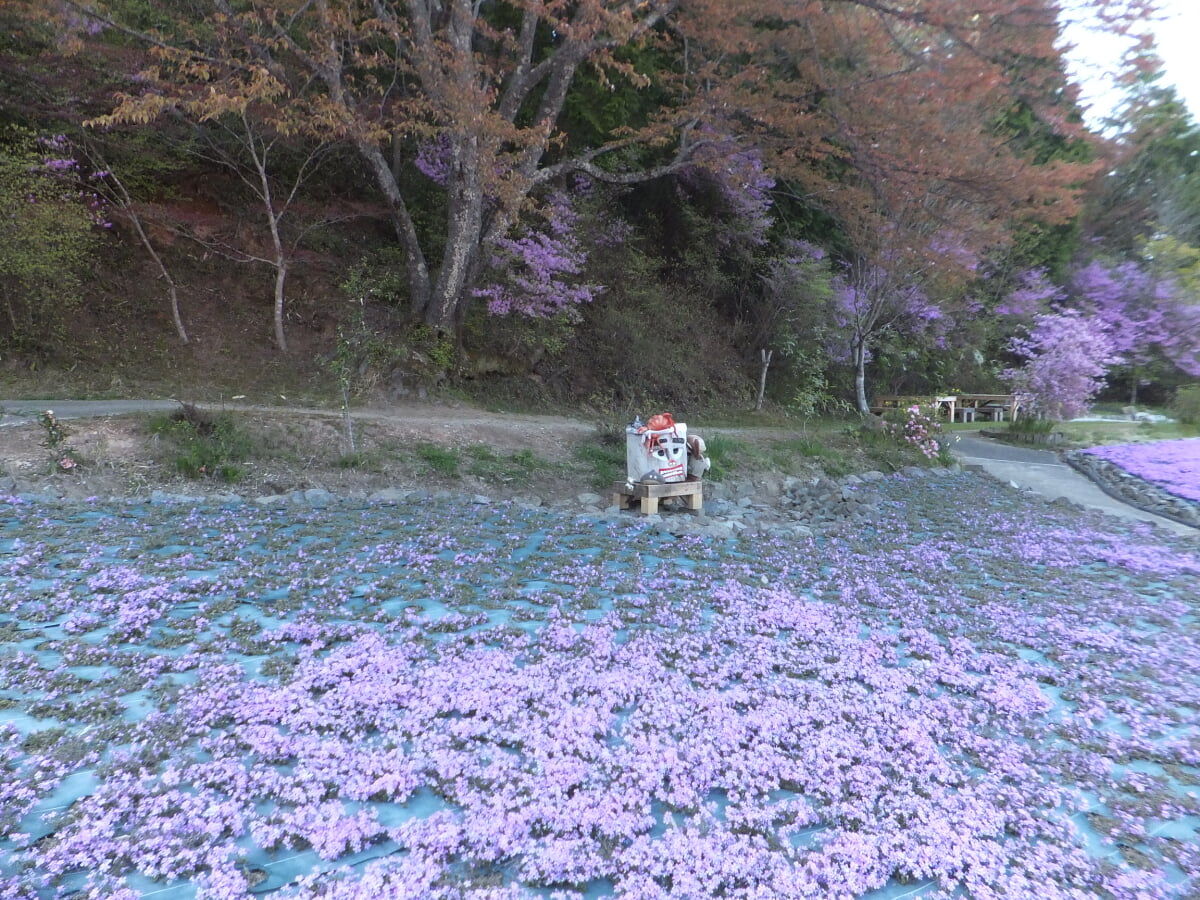 永沢寺花しょうぶ園・ぼたん園の写真 ©Mti(CC BY-SA 3.0)