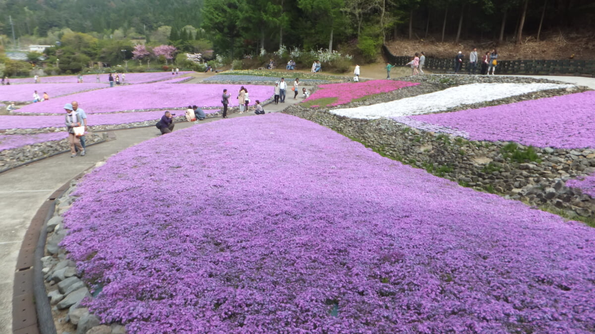 永沢寺花しょうぶ園・ぼたん園の写真 ©Mti(CC BY-SA 3.0)