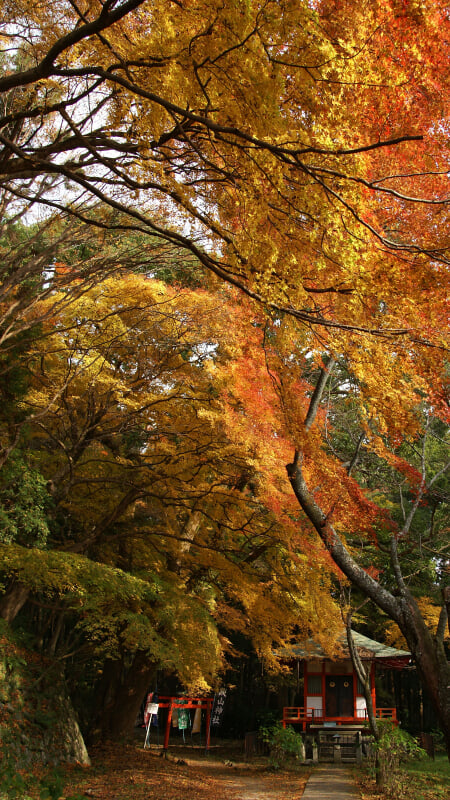 談山神社の写真 ©663highland(CC-BY-SA-3.0)