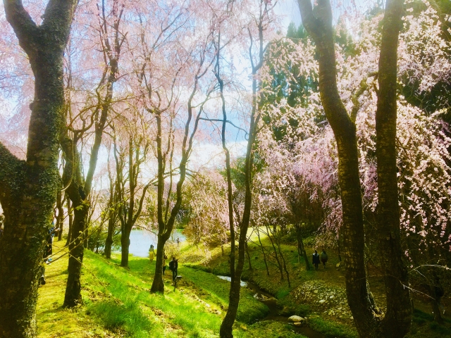 世羅 甲山ふれあいの里の写真 