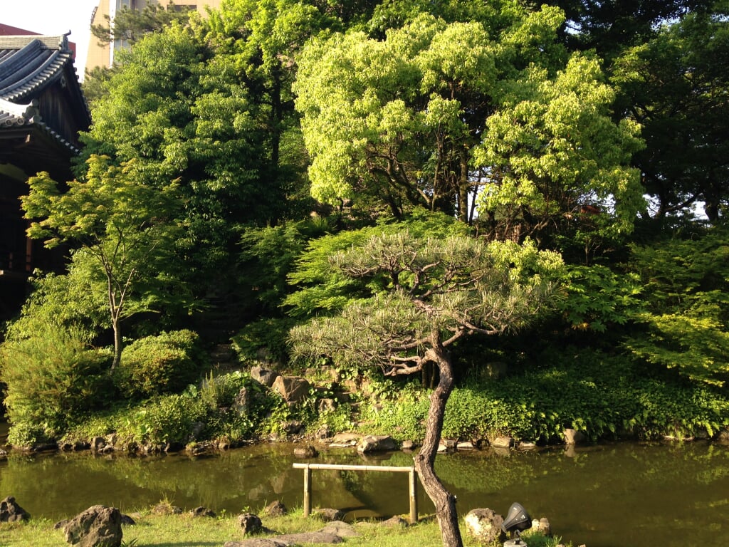 小倉城庭園の写真 ©そらみみ(CC BY-SA 4.0)