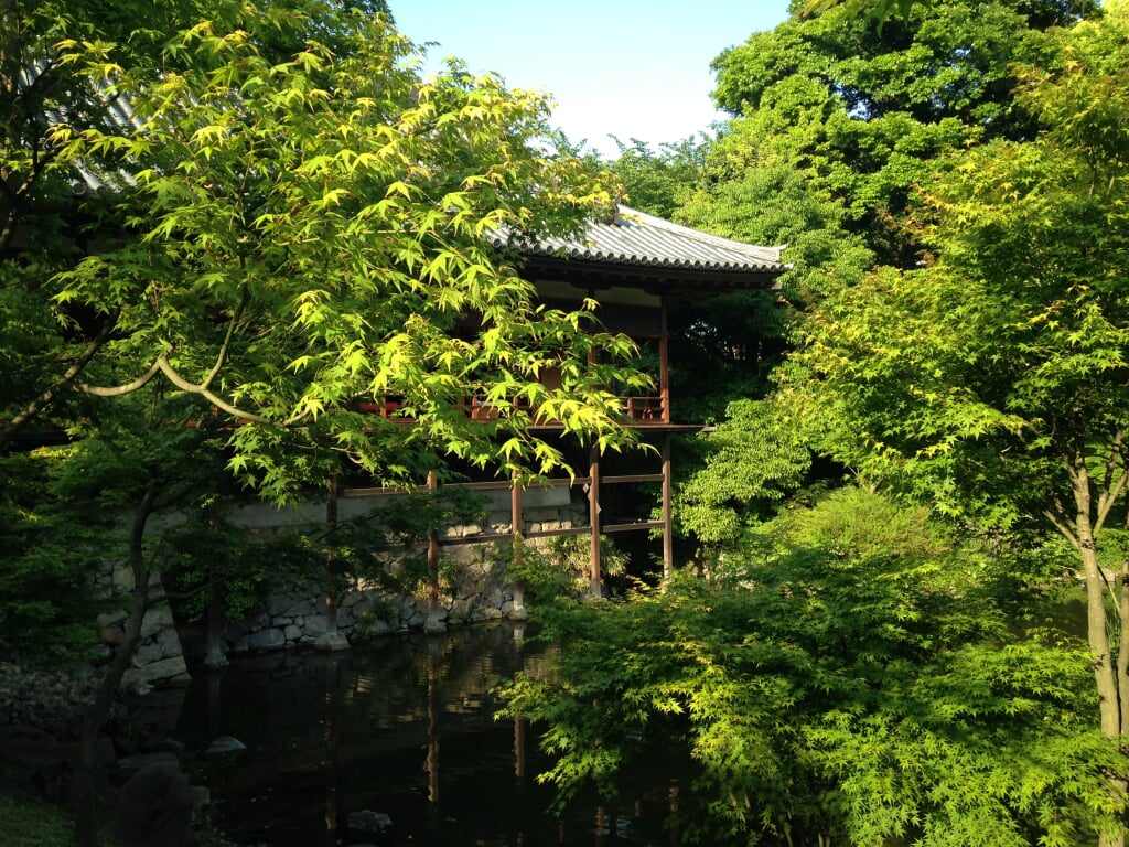 小倉城庭園の写真 ©そらみみ(CC BY-SA 4.0)