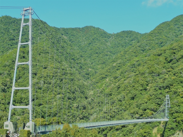 綾の照葉大吊橋の写真 