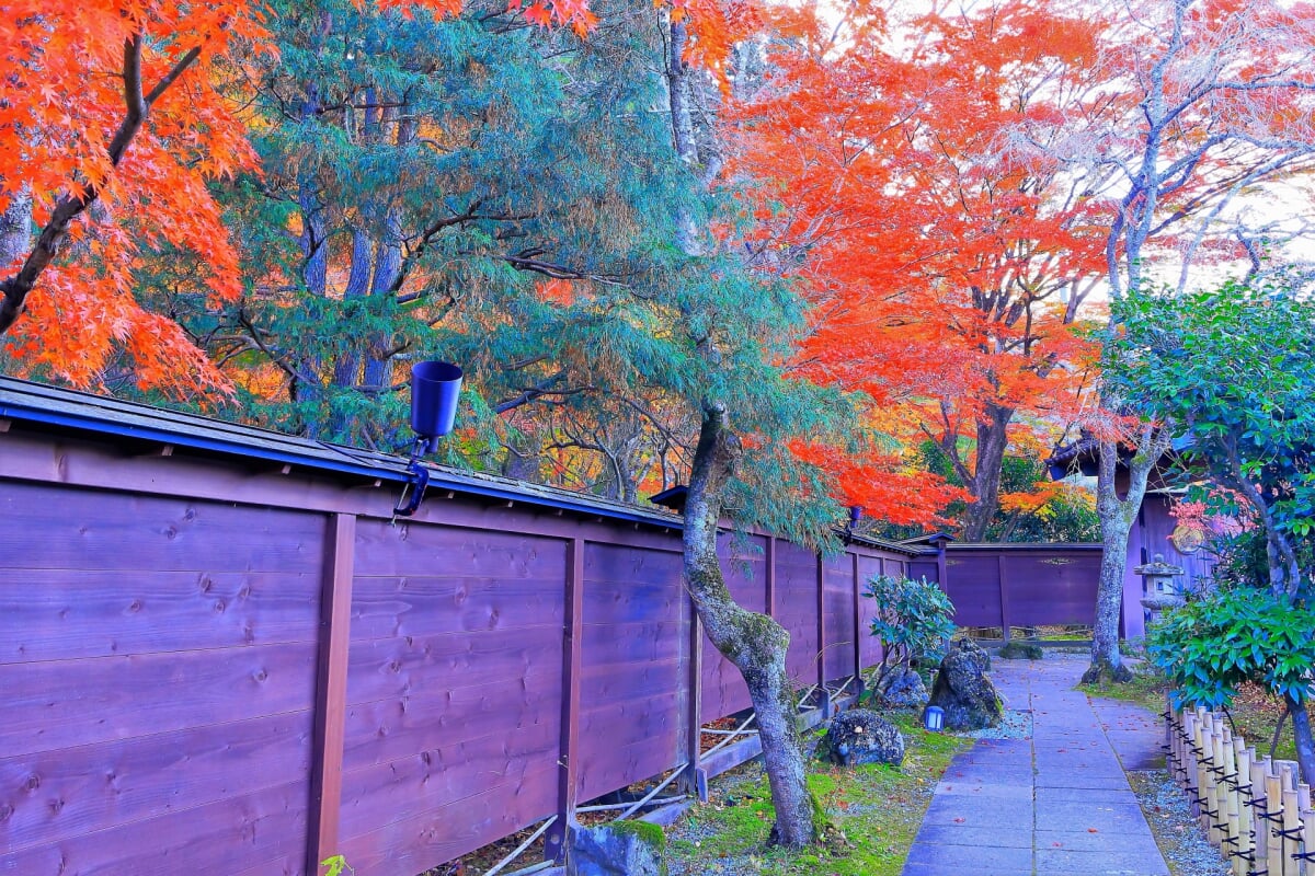 天守閣自然公園 小屋館跡庭園の写真 