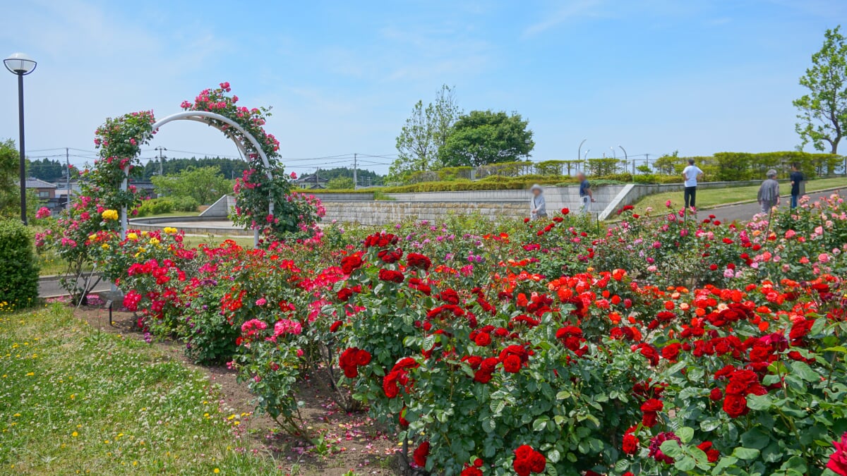 にかほ市立 フェライト子ども科学館の写真 ©掬茶(CC BY-SA 4.0)