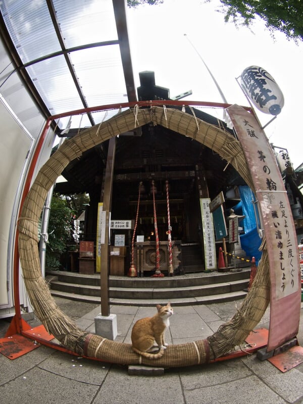 波除稲荷神社の写真 ©pop★(CC BY 2.0)