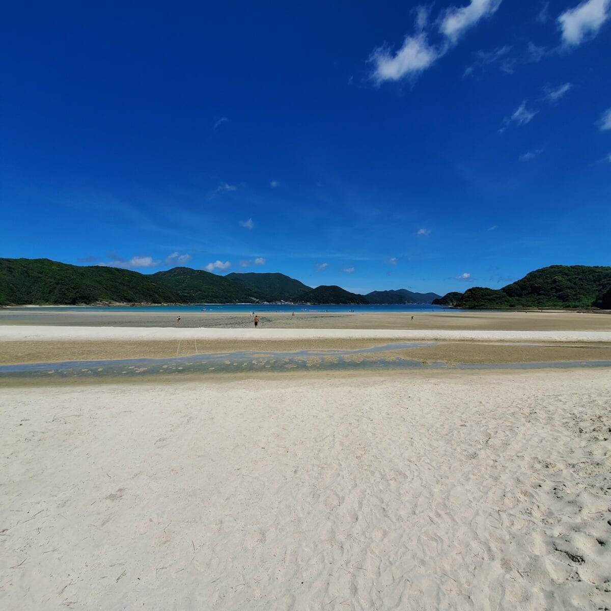 蛤浜海水浴場の写真 