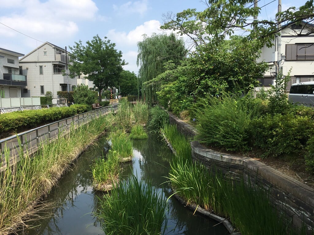 見沼代親水公園の写真 ©Mikhail Kotykhov(CC BY 2.0)