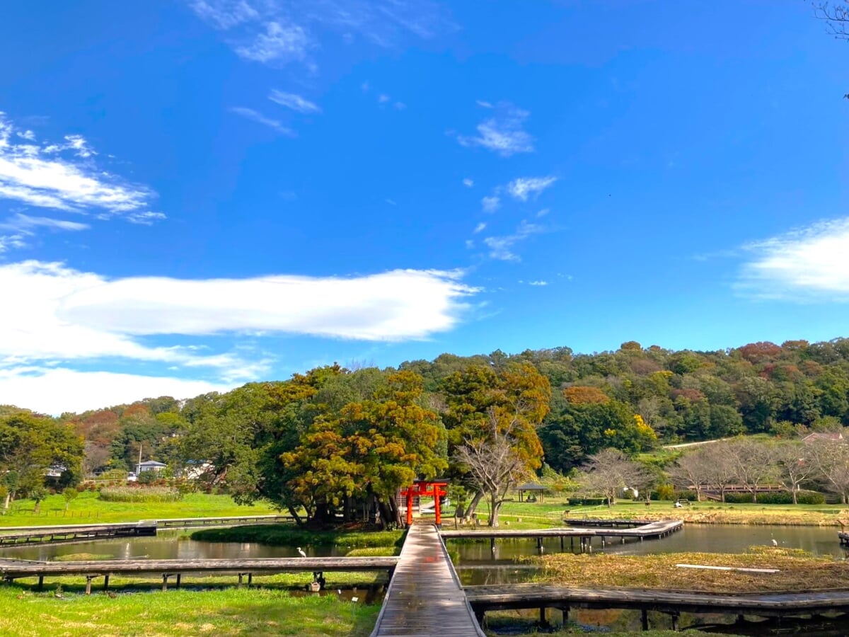 厳島湿生公園の写真 