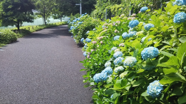 横須賀美術館の写真 