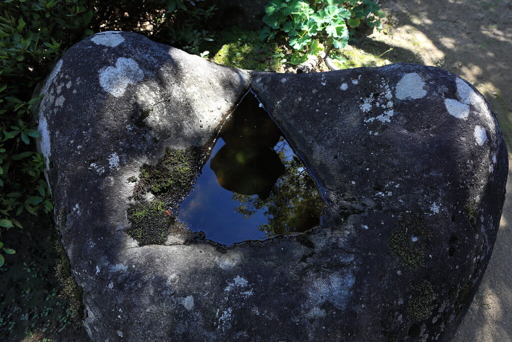 豪商の館・田中本家博物館の写真 ©TANAKA Juuyoh (田中十洋)(CC BY 2.0)