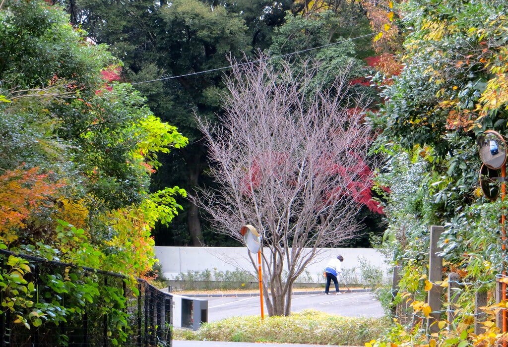 石水博物館の写真 ©mdxdt(CC BY-SA 2.0)