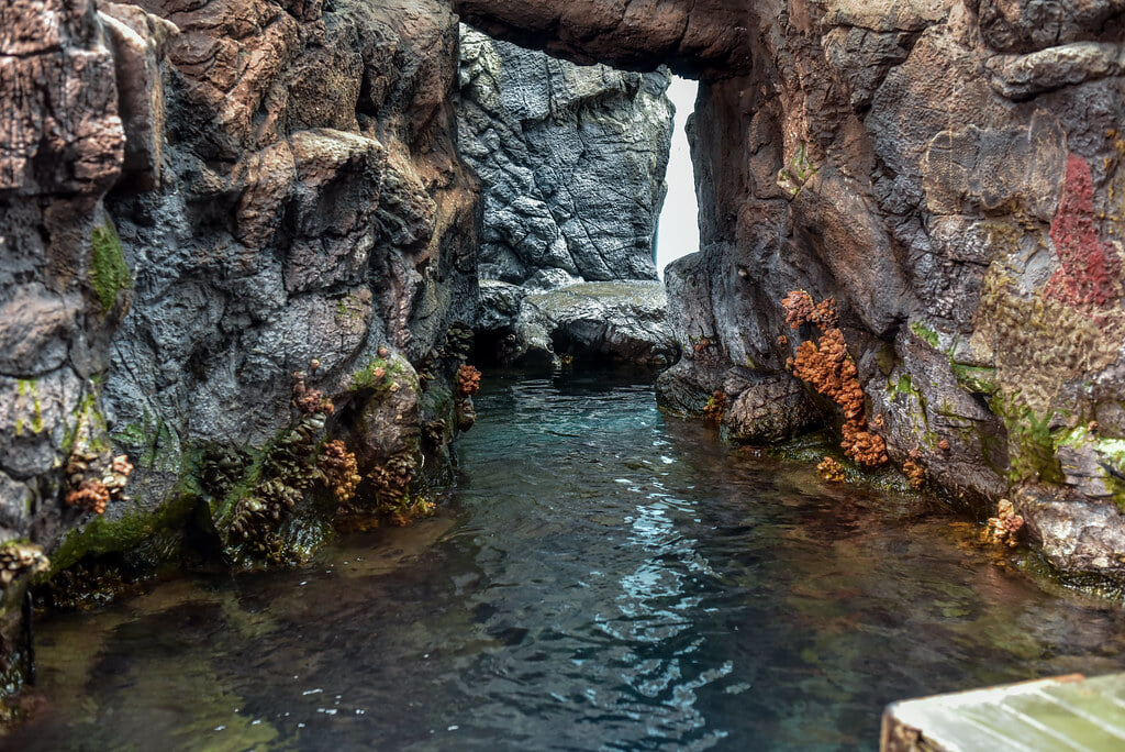 海遊館の写真 ©jinkemoole(CC BY 2.0)